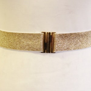 May include: A gold sparkly elastic belt with a gold metal buckle.