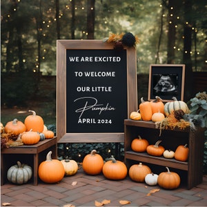 Pumpkin Fall Pregnancy Announcement: Social Media Gender Reveal (Digital Download)