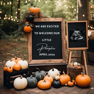 Pumpkin November Pregnancy Announcement Social Media Reveal, Little Baby Pumpkin Announcement Girl, Gender Reveal Boy, Fall Announcement