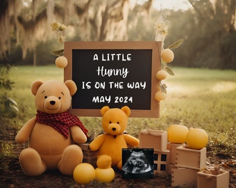 Winnie the Pooh Digital Pregnancy Announcement, Baby Announcement, Gender Neutral, Winnie the Pooh Baby Shower, Little Hunny Themed Party