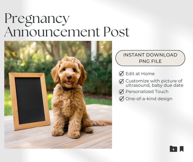 Goldendoodle Pregnancy Announcement, Digital Social Media Reveal, Baby