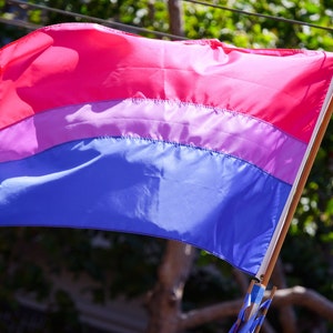 Bisexual Orgullo Bandera Camiseta Hombres Mujeres Gay Orgullo Conciencia Camiseta Bi Flag Camiseta Rosa Púrpura Azul BiPride BiVisibilidad imagen 4