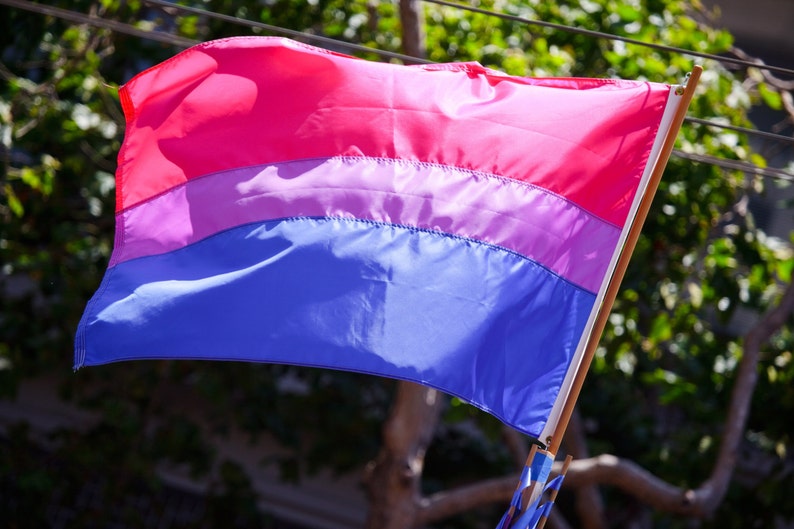 Bisexual Orgullo Bandera Camiseta Hombres Mujeres Gay Orgullo Conciencia Camiseta Bi Flag Camiseta Rosa Púrpura Azul BiPride BiVisibilidad imagen 4