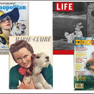 4 Miniature   &#39;TERRIER DOG&#39;   Magazines  -  Dollhouse 1:6th  1/12th  1/24th  1/48th   scale