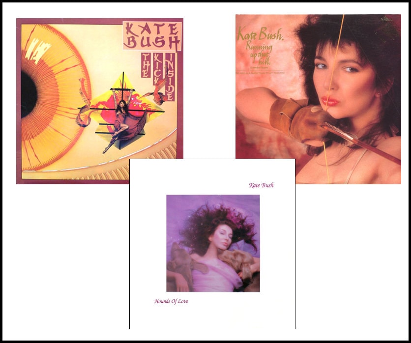 ヴィンテージ 希少　レア　ケイトブッシュ　カセットテープ　Kate Bush Kate bush cassette running up that hill - Etsy 日本