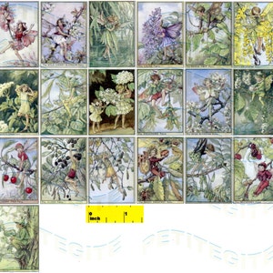 Miniature    Vintage   &#39;TREE  FAIRIES&#39;   Prints   -  Dollhouse 1:12 scale
