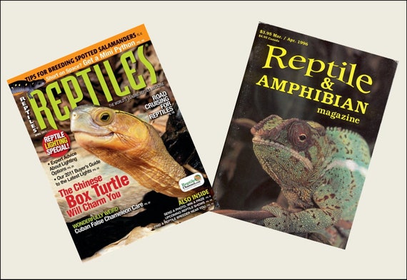 REPTIRE CARE Ⅰ・Ⅱ 【公式通販】