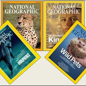 4 Miniature  &#39;NATIONAL GEOGRAPHIC&#39;   Magazines  -  Dollhouse 1:6   1/12    1/24   1/48   scale   IGMA