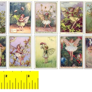 Miniatur Vintage 'WHITE FLOWER FAIRIES' Prints - Puppenhaus 1:12