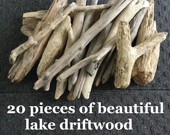 Collection of 20 pieces of lake driftwood