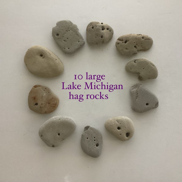 Collection of 10 large Lake Michigan hag rocks - Holey stones