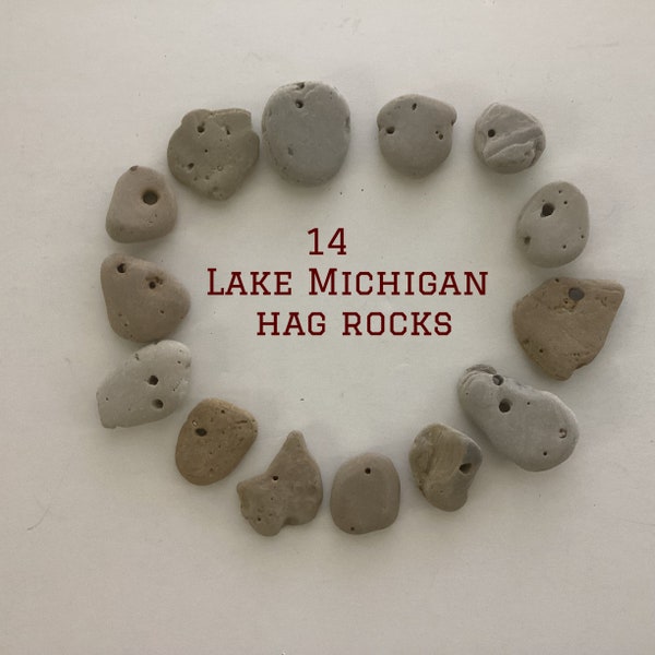 Set of 14 Lake Michigan hag rocks - holey stones -