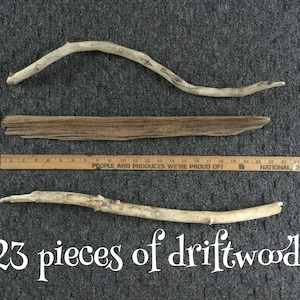 Collection of 23 pieces of driftwood