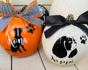Custom Pet Pumpkin