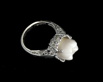 Real human tooth molar in sterling silver engagement ring setting sz.7//real human tooth ring//tooth jewelry//human molar ring//real tooth