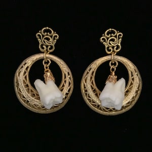 Human tooth earrings//vintage gold plated filigree hoops,real human teeth earrings//tooth earrings//teeth earrings//human tooth//human teeth
