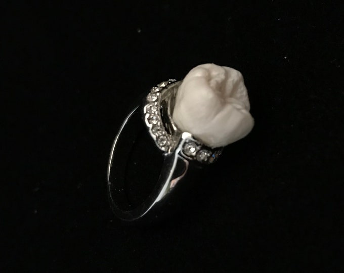 Human Teeth Rings Real Human Tooth Ring//real Human Tooth, Vintage Silver,rhinestone Ring ...