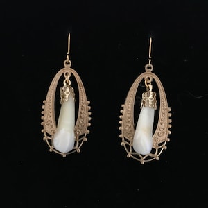 Real human tooth earrings//real human incisor tooth,gold & raw brass earrings//human tooth jewelry//human teeth earrings//real tooth jewelry