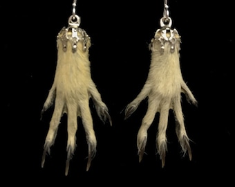 Pair natural squirrel foot earrings/squirrel foot earrings/sterling silver French hooks/taxidermy earrings/taxidermy jewelry/claw earring