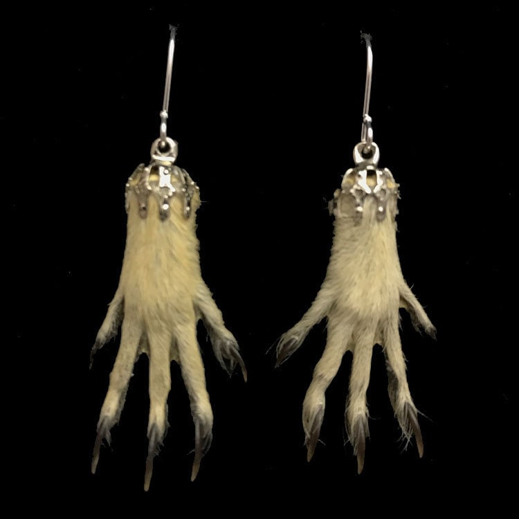 Pair Natural Prairie Dog Foot Earrings Squirrel Foot Etsy