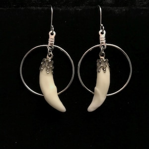 Real coyote tooth earring silver plated//real fang earrings//real tooth earrings//coyote teeth earrings//bone jewelry/tooth jewelry