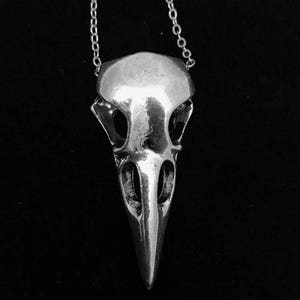 Small crow skull necklace//silver plated solid bird skull pendant//small raven skull necklace//22"chain//skull necklace//bird skull necklace