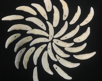 30 piezas de dientes de coyote de SEGUNDA CALIDAD: dijes de dientes de animales perforados para joyería.