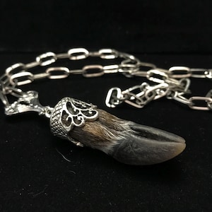 Animal Hoof Necklace - Etsy Canada