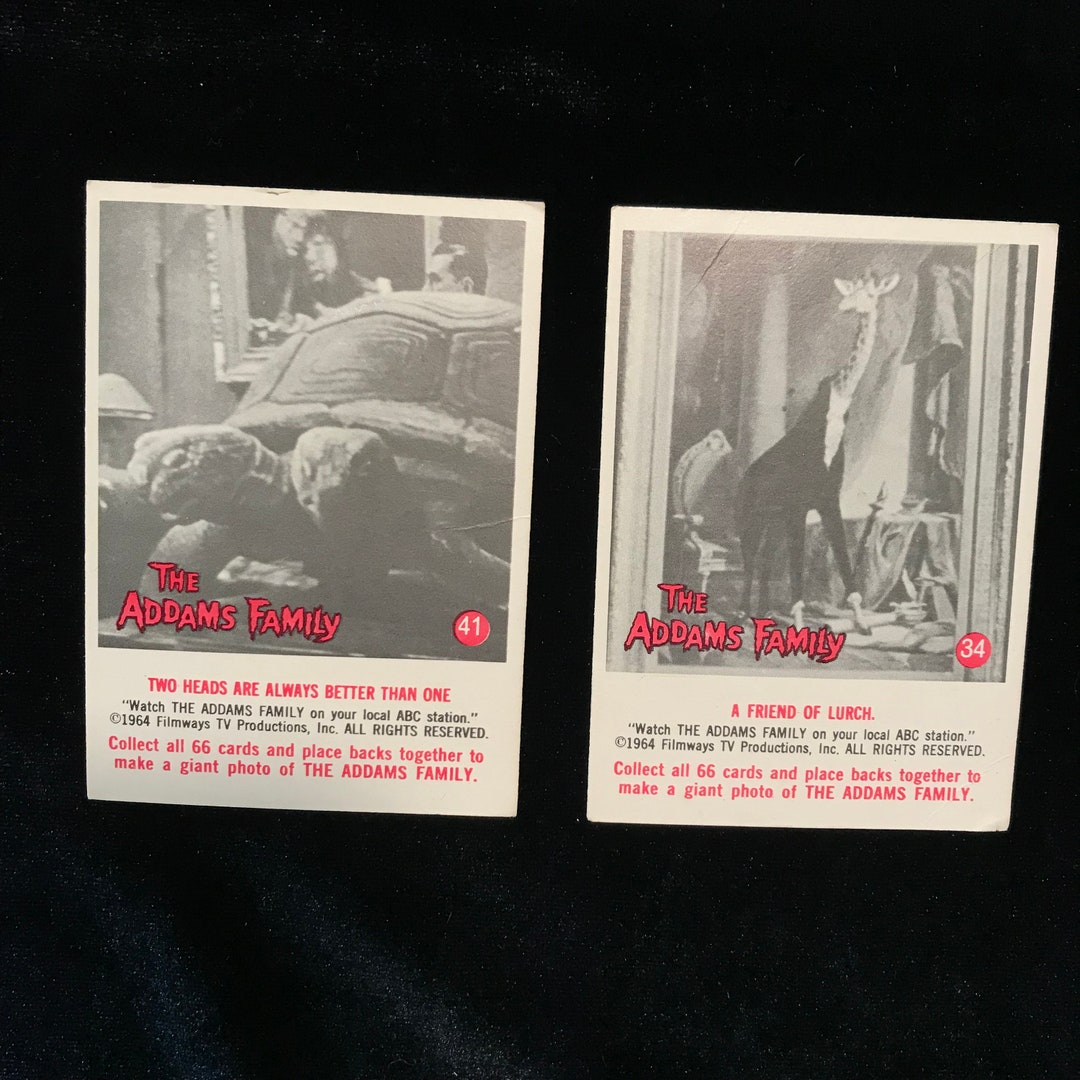 Pair Addams Family Cards//two Headed Tortoise,giraffe in Suit Portrait ...