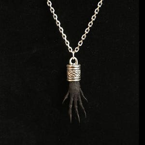 May include: A silver chain necklace with a black, furry, animal paw pendant. The pendant has a silver cap with an ornate design.