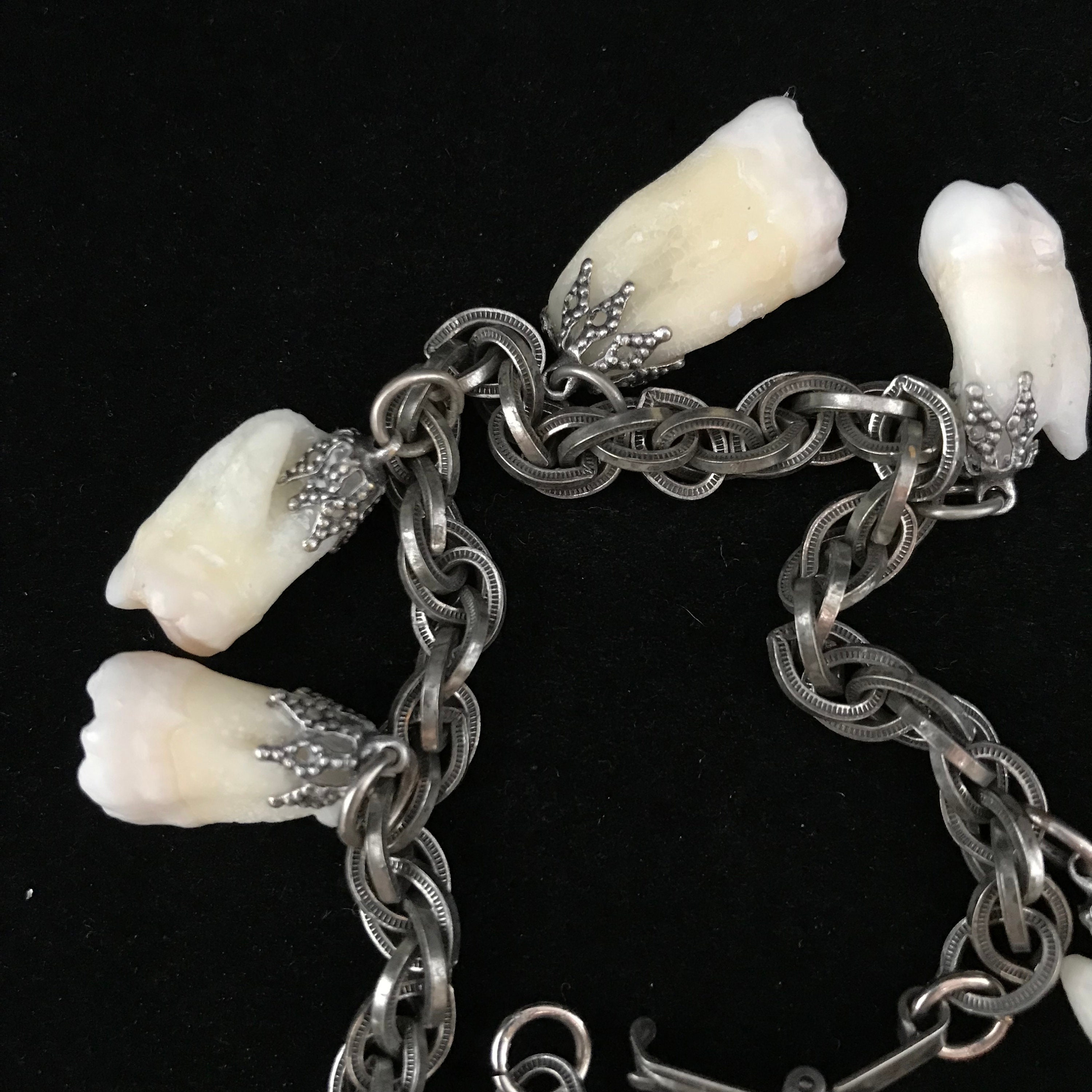 Real human tooth bracelet // 7.5 vintage antiqued silver - Etsy 日本