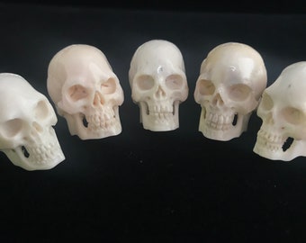 Small carved skull//carved antler skull art//carved bone skull//human skull art//skull figurine//skull decor//skull objet d'art//skull bead