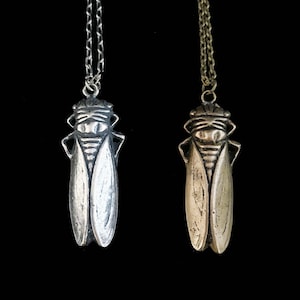 Cicada necklace-BRONZE ONLY//bronze cicada pendant//23&quot; insect necklace//insect jewelry//beetle necklace//bug jewelry//cicada jewelry