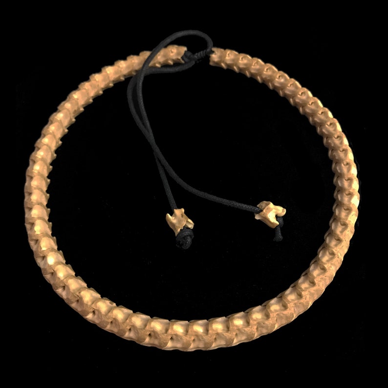 Snake vertebrae choker//stained snake bone necklace//adjust | Etsy