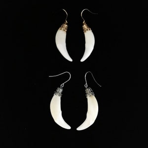 Wolf tooth earrings-GOLD ONLY//real wolf tooth earrings//real wolf fang earrings//wolf canine earrings//real teeth earrings