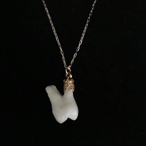 Real Human Molar Necklace 14K Gold Plated Chain