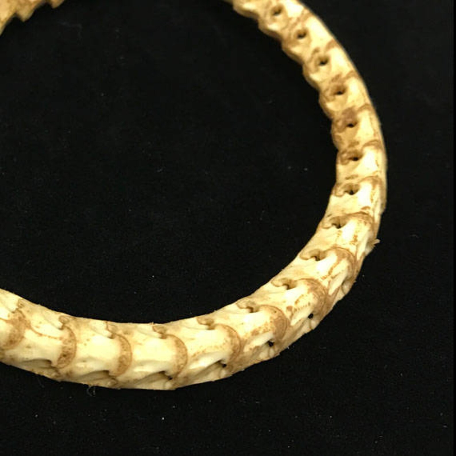Snake Vertebrae Bracelet//snake Bone Bracelet//men's Etsy