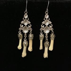 Real coyote toe bones on silver plated earrings with sterling silver hooks