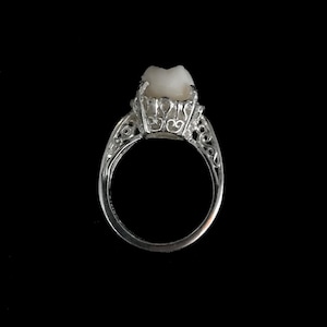 Sterling Silver Real Human Molar Ring, Filigree Engagement Ring Setting, Size 7