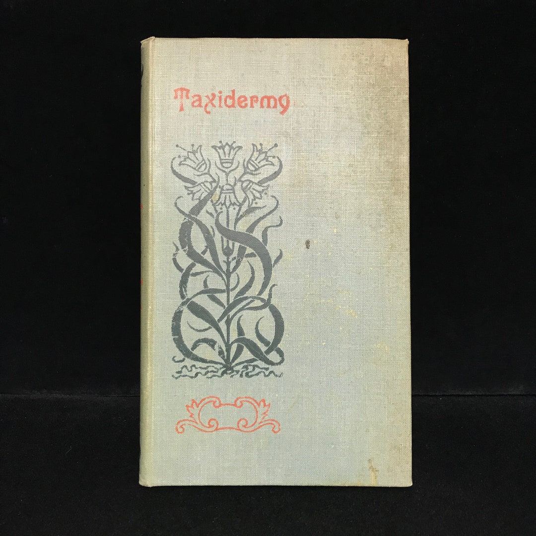 Vintage Taxidermy Book//little Taxidermy Book// Taxidermy Etsy