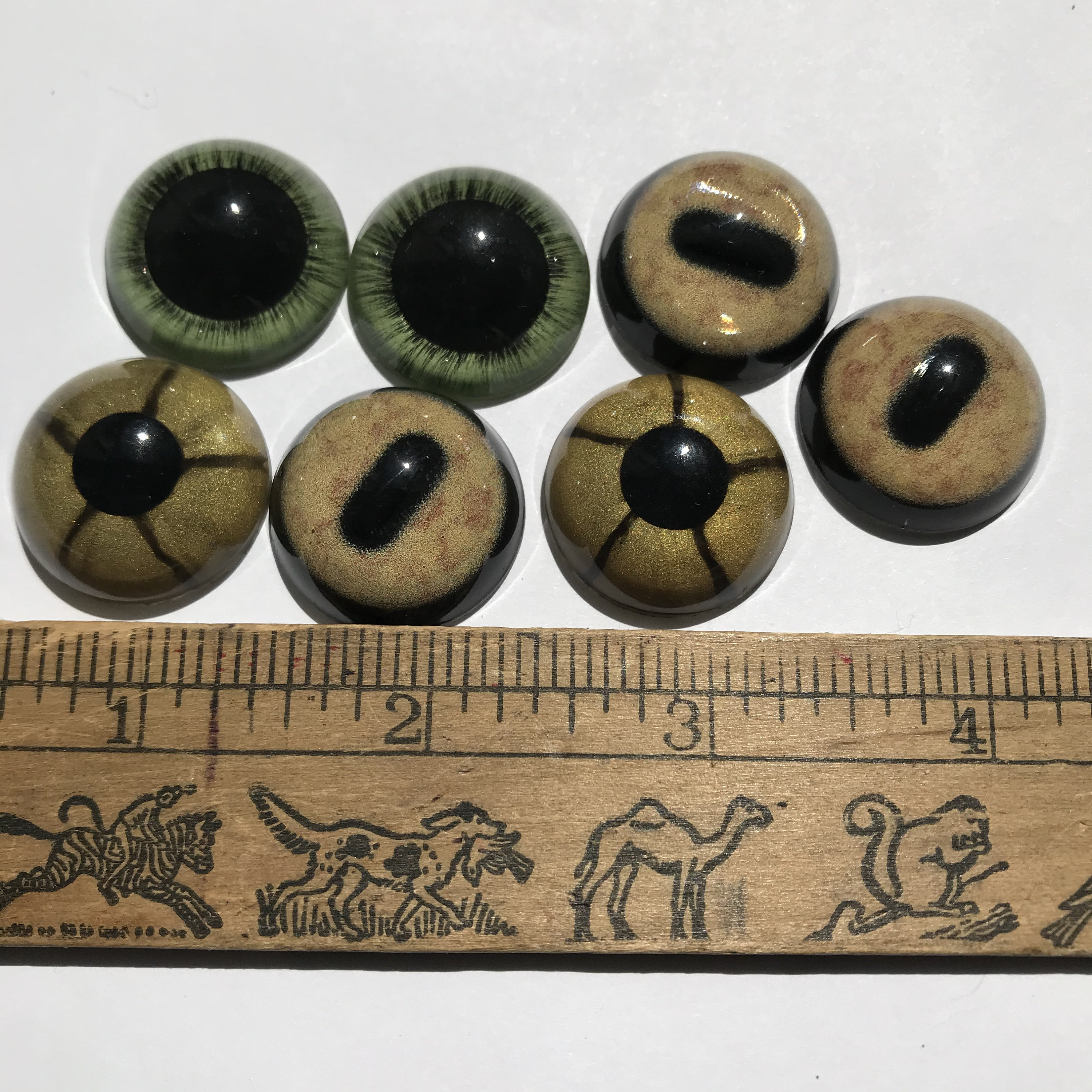 Lot of Seven Glass Taxidermy Eyes//24mm Glass Eyes//taxidermy Etsy UK