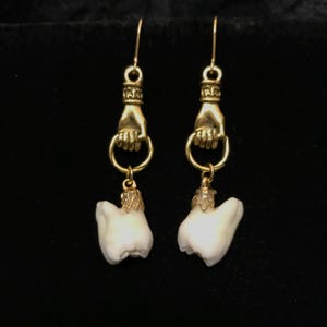 Real human teeth on gold hand earrings B//Victorian style tooth earrings//taxidermy jewelry//human tooth earring//real human molar jewelry