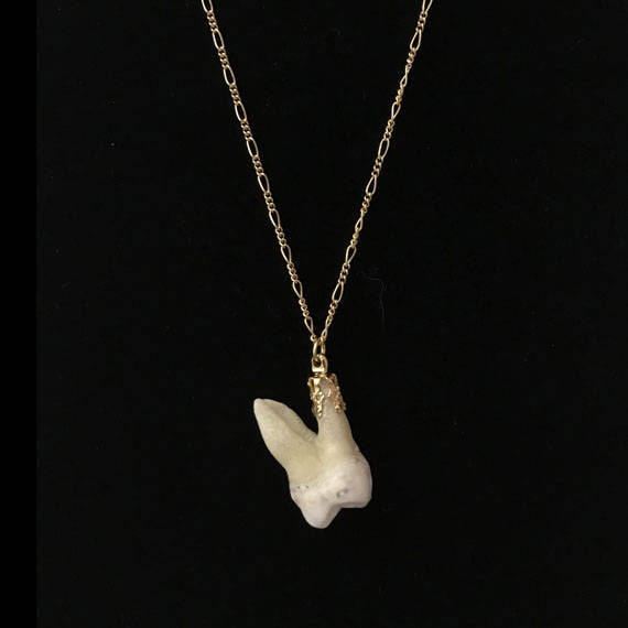 Real tooth necklace deals