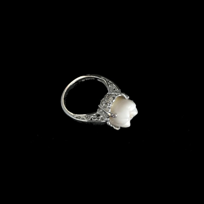 Real human tooth molar in sterling silver engagement ring setting sz.7//real human tooth ring//tooth jewelry//human molar ring//real tooth