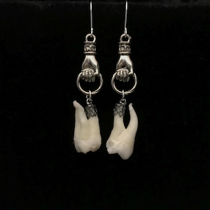 Real human teeth on silver hand earrings B//Victorian style tooth earrings//taxidermy jewelry//human tooth earring//real human molar jewelry
