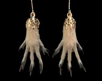 Pair natural prairie dog foot earrings/squirrel foot earrings/gold filled French hooks/taxidermy earrings/taxidermy jewelry/claw earring/paw