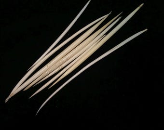 EIGHT white African porcupine quills//lot of EIGHT real porcupine quills 4-6.5 inches//lot of white porcupine quills//craft porcupine quills