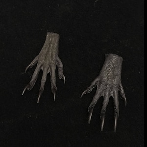 pair of black ground squirrel feet//dyed black squirrel feet//taxidermy//claw//raw material//appx. 1.5&quot;//real feet//real claws//taxidermy