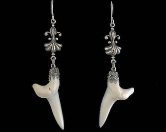 Véritables dents de requin sur une boucle d'oreille de style victorien en métal argenté//bijoux dent de requin mako/boucles d'oreilles dent de requin mako///bijoux de curiosité