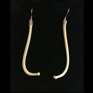 Raccoon penis bone earrings//raccoon baculum// LONG 3.5-4"//sterling silver hook//real bone earrings//real bone jewelry//penis jewelry